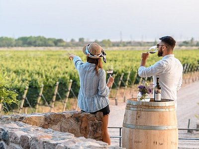 Mendoza gallery 0