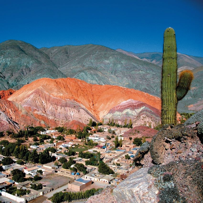 Salta gallery 2